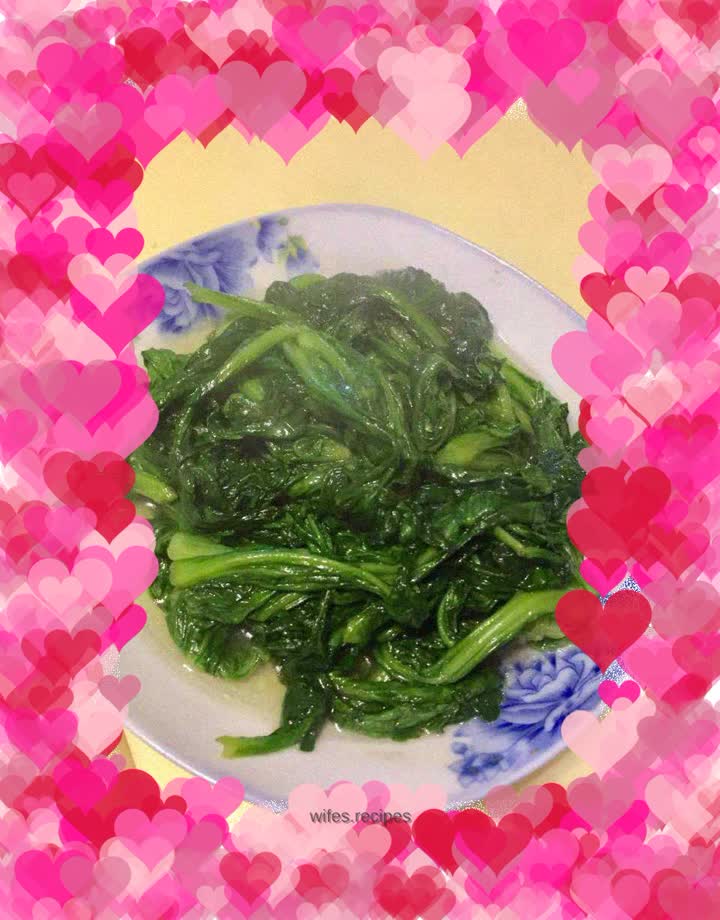 Tea oil chrysanthemum