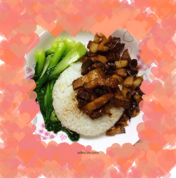 Braised pork rice - easy to make!