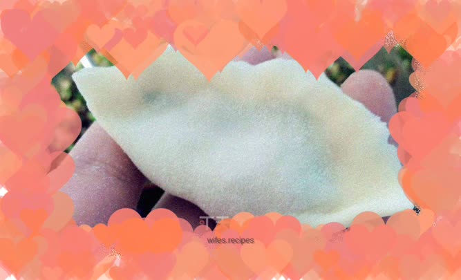 Handmade leek, mushroom and pork dumplings