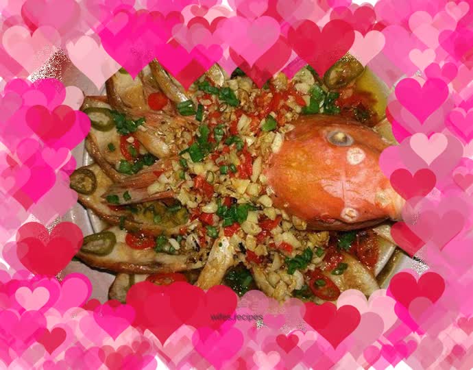 Peacock in full bloom