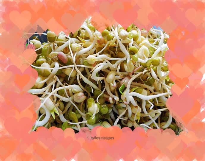 Homemade mung bean sprouts