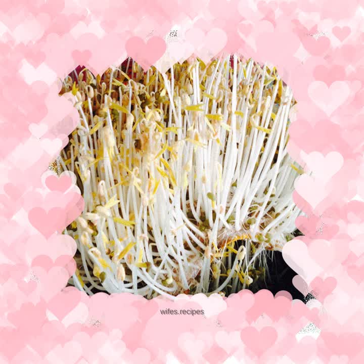 Homemade pollution-free mung bean sprouts