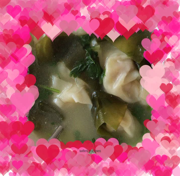 Homemade wontons