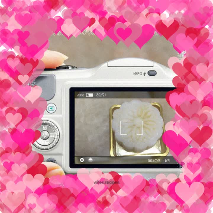 Snow Skin Mung Bean Mooncake