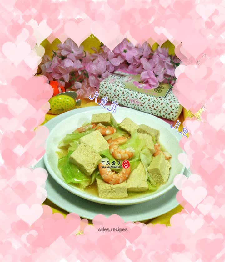 Shrimp, Cabbage and Frozen Tofu