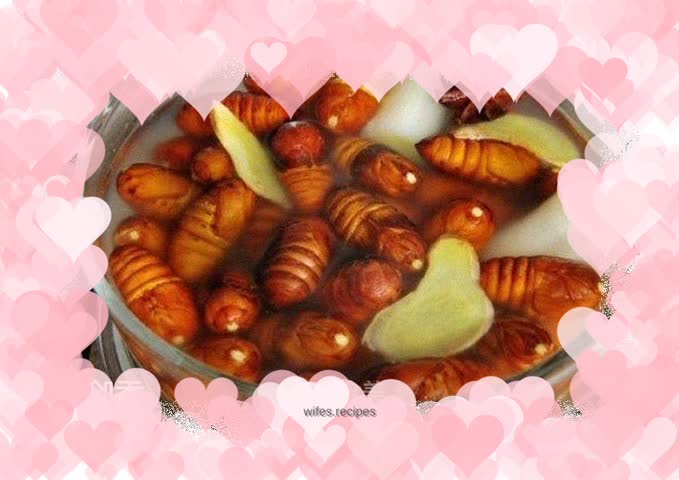 Boiled silkworm chrysalis in salt water