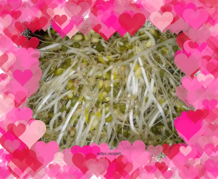 Mung bean sprouts
