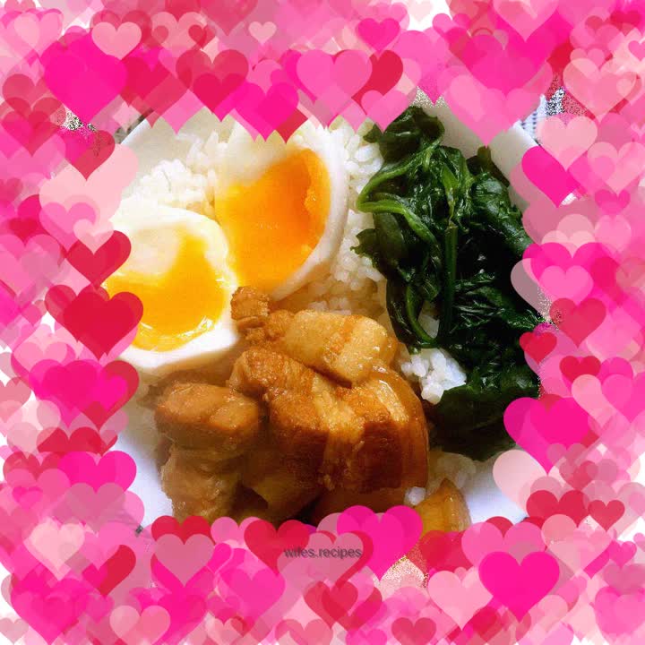 Braised pork rice