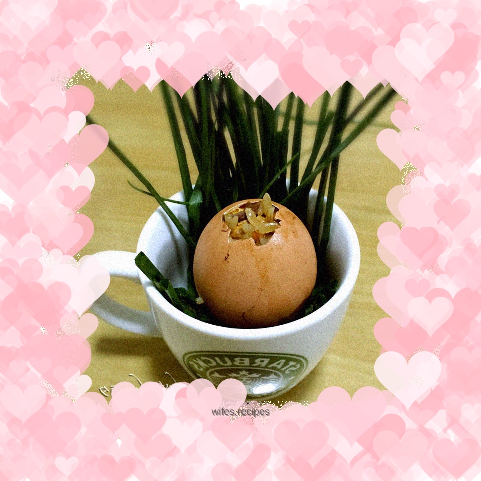 Glutinous rice eggs