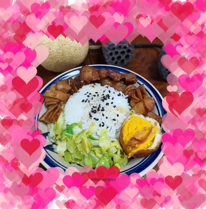 Braised Pork and Braised Pork Rice