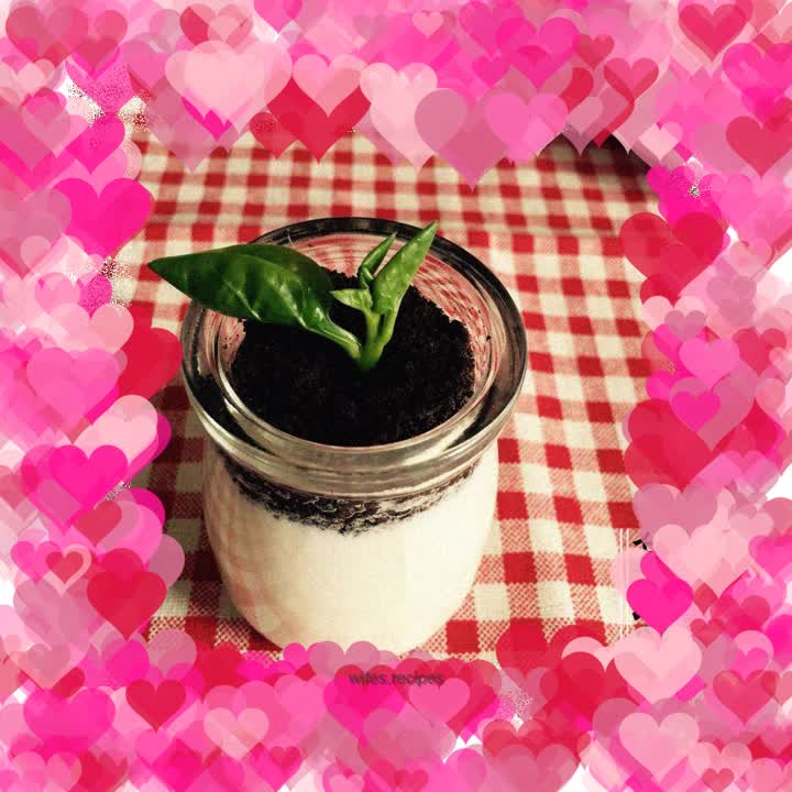 Potted yogurt
