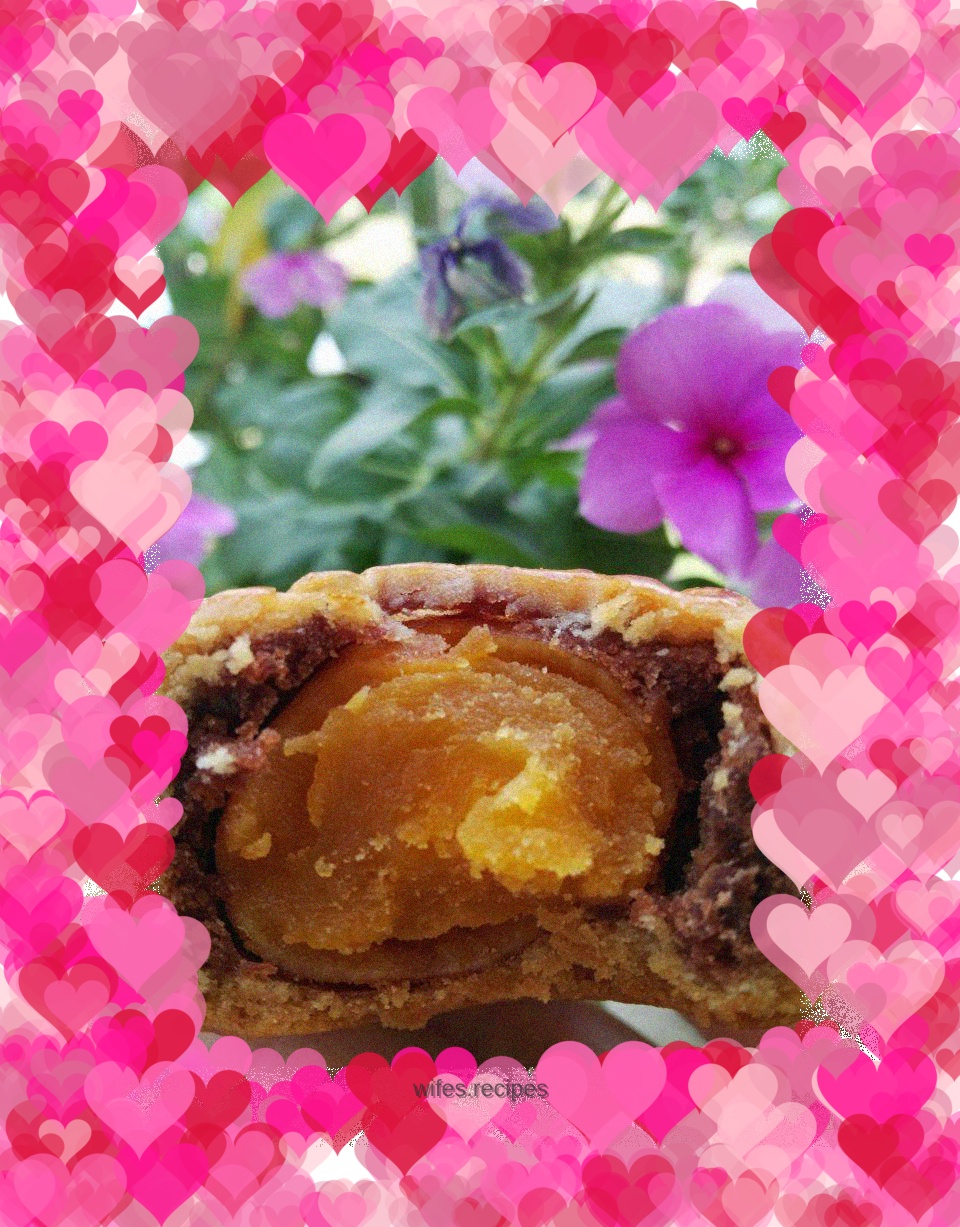 Cantonese style egg yolk mooncake