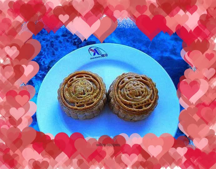 Cantonese style five-nut mooncake