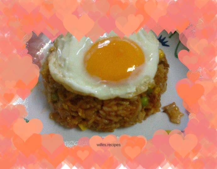 Korean kimchi flavor - kimchi fried rice