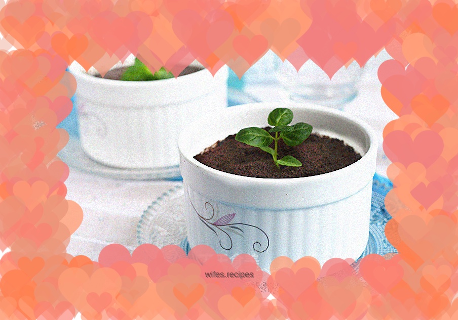 Eating fruit in a fancy way, fresh peach yogurt potted plant