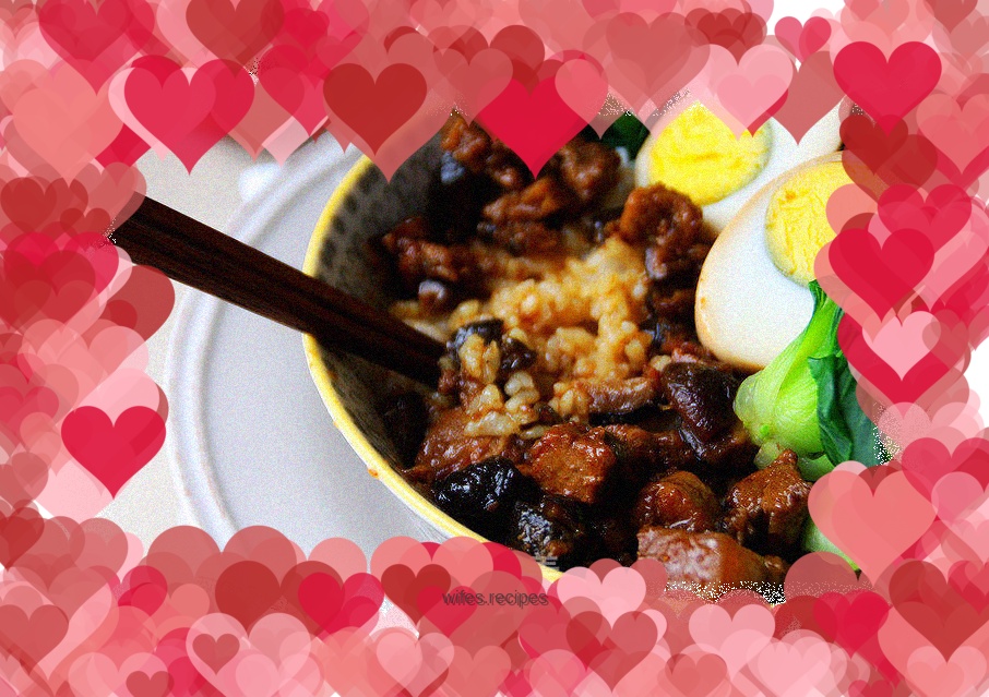 The most favorite ecstasy rice among Rourou people: [Taiwanese Braised Pork Rice]