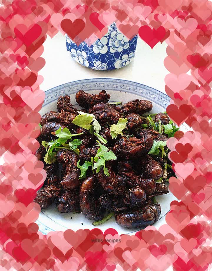 Salt and pepper golden cicada