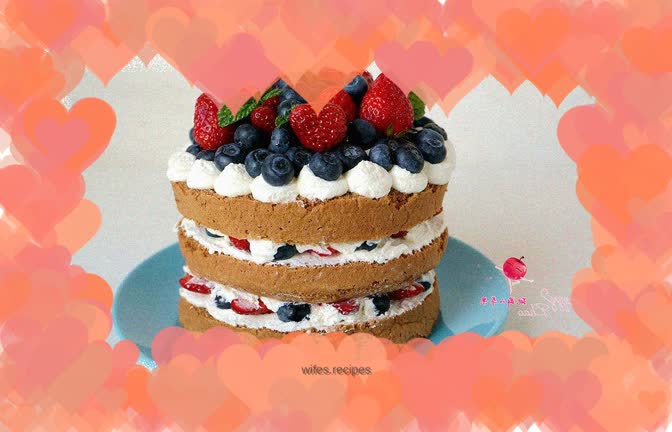 Cocoa Sponge Naked Cake