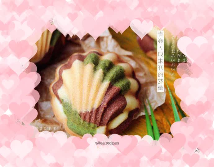 Camouflage Madeleines