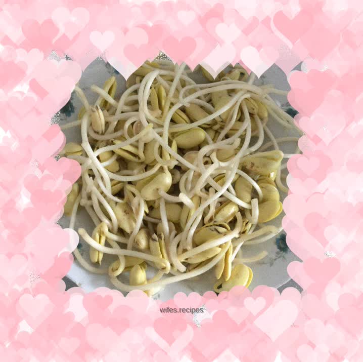 Homemade soybean sprouts