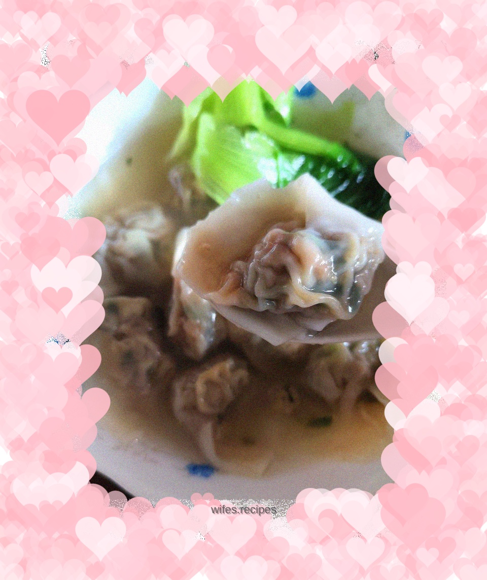 Fresh meat and dried rice wontons