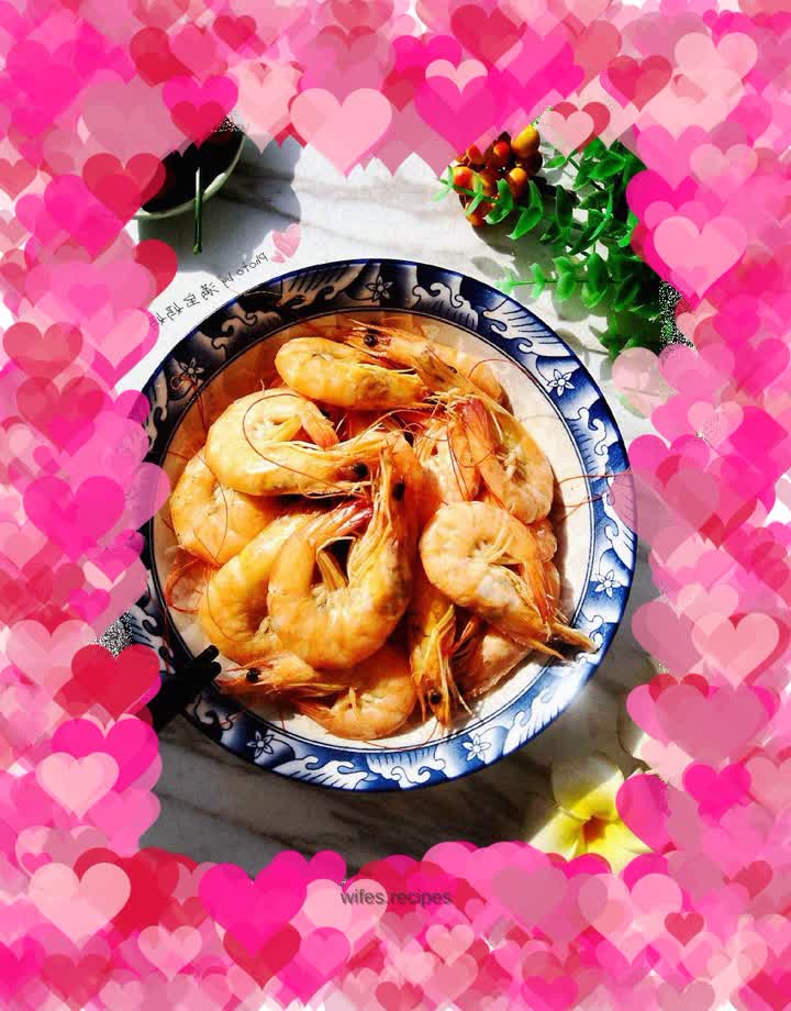 Brine shrimp