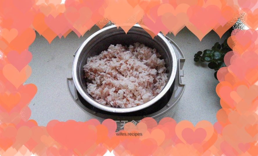 Red japonica rice