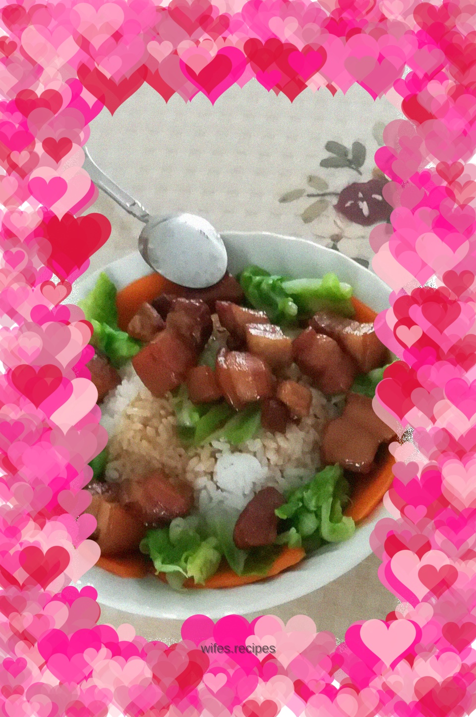 Braised Pork Rice Bowl