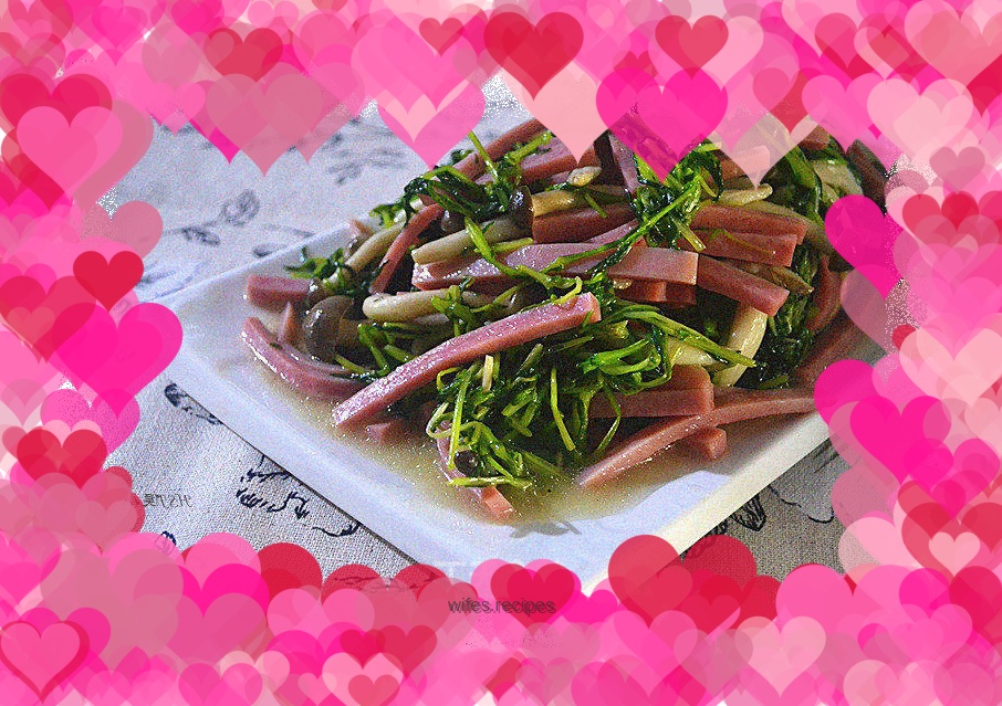 Acacia pine, willow crab and mushrooms