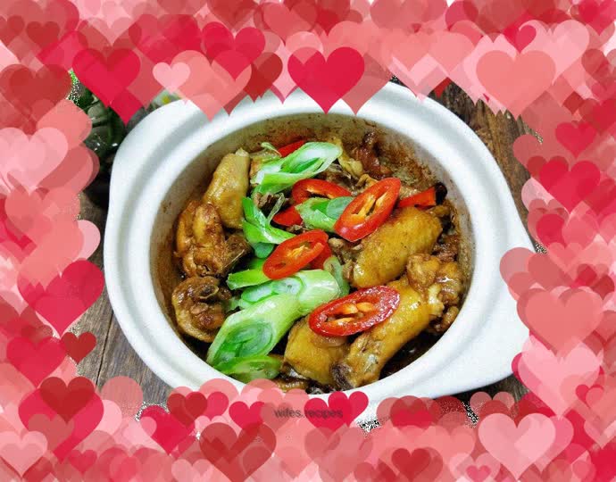 Ginger and Scallion Chicken Stew