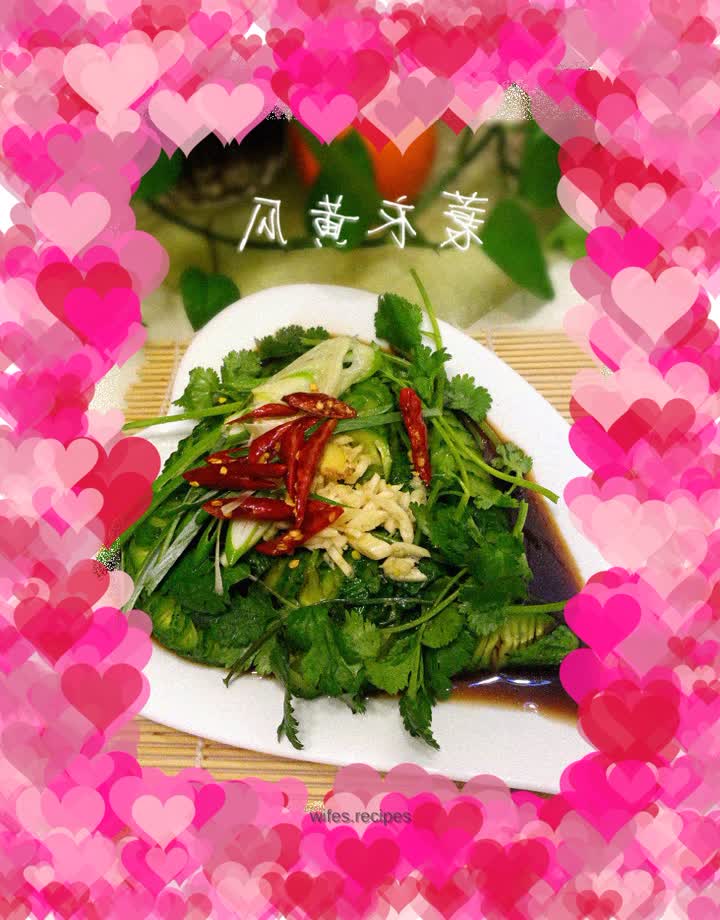 Coir raincoat cucumber