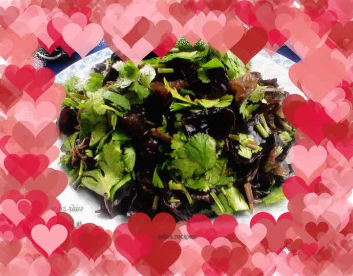 Beginning of summer--cilantro and fungus