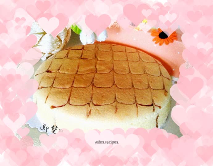 Marbled Heavy Cheesecake