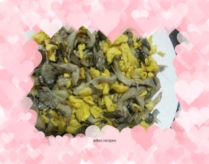 Oyster mushroom eggs