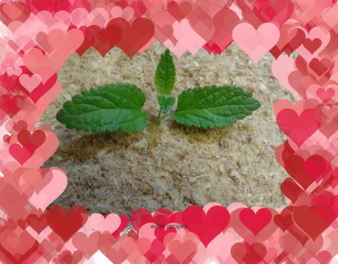 Handmade Pork Floss