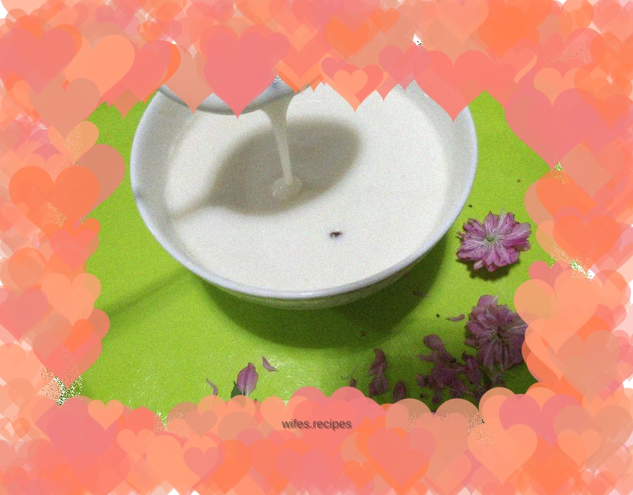 Yogurt bacteria powder starter