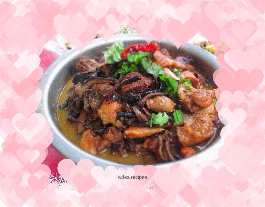 Rural little stupid chicken