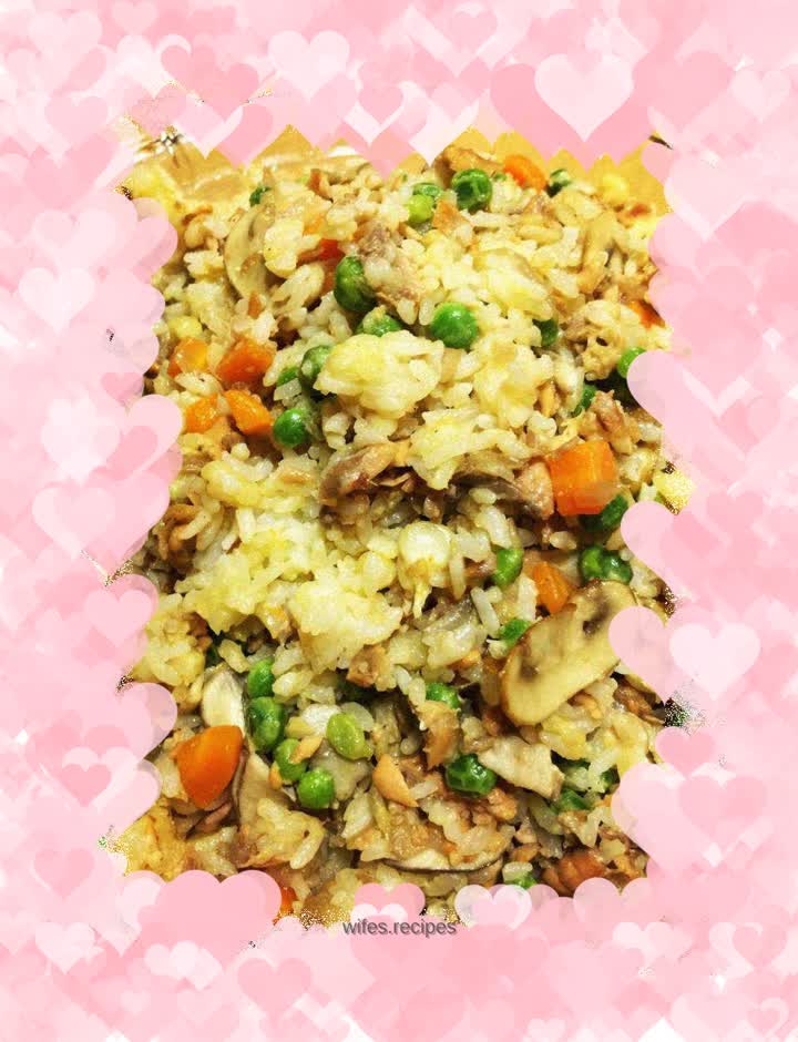 Licking bowl version of salmon fried rice