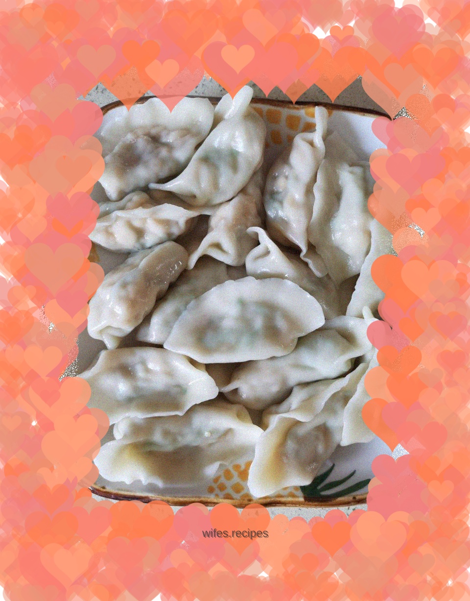 Zucchini Vegetarian Dumplings
