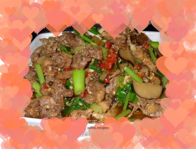 Pickled Pepper Shelduck