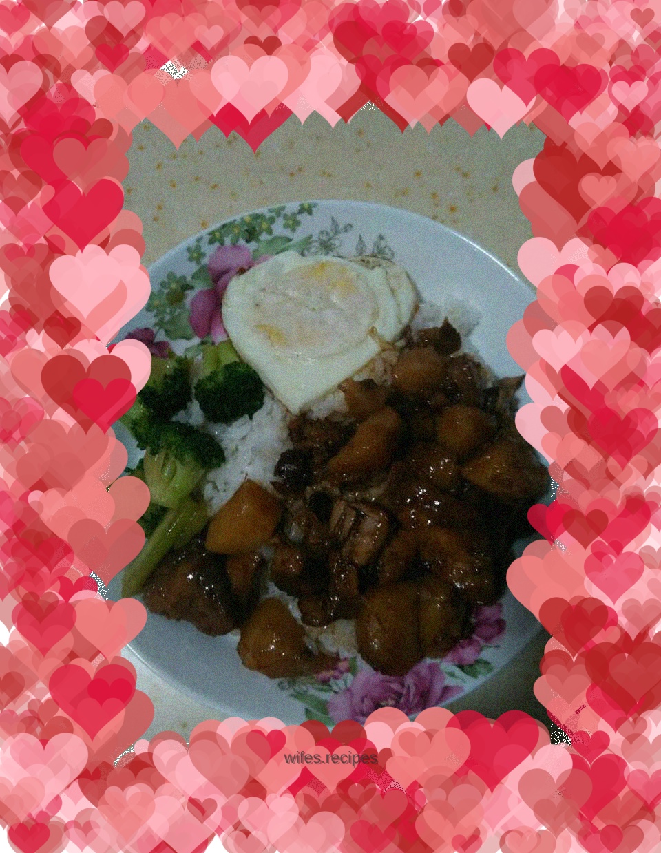 Braised pork rice bowl