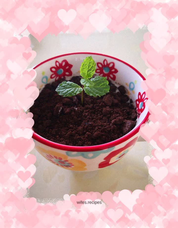 Oreo Yogurt Potted Plant
