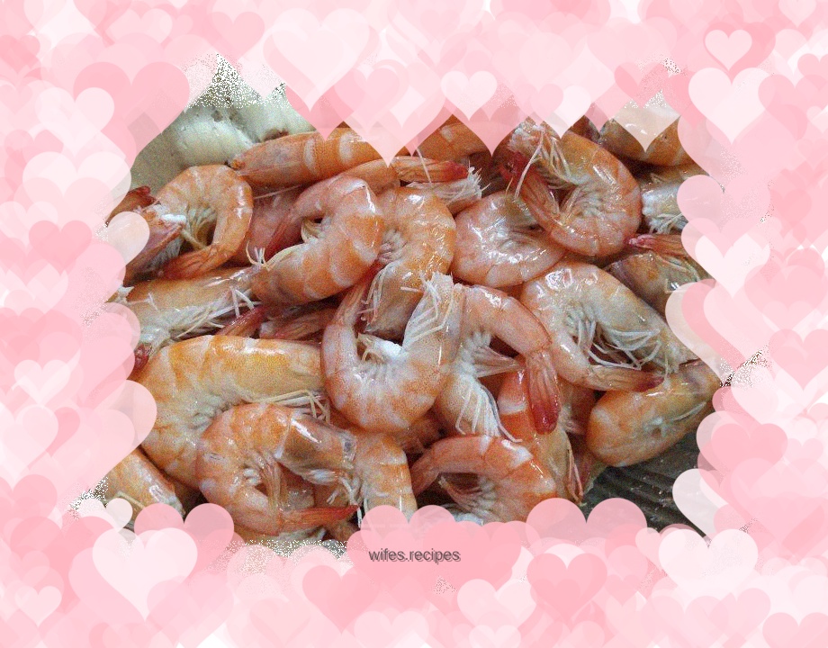 Brine shrimp