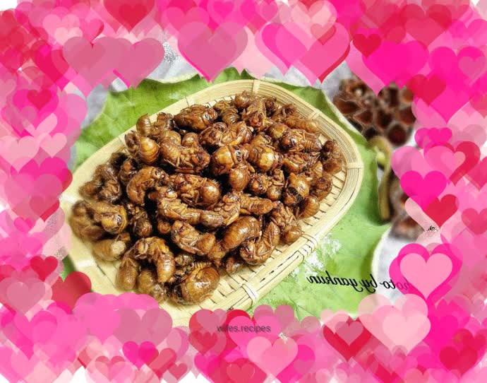 Dry Fried Cicada Monkey