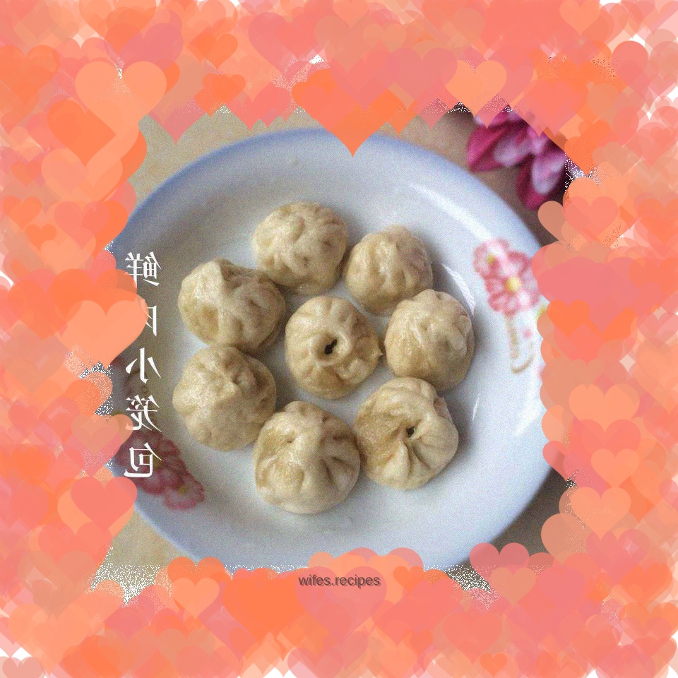 Fresh meat dumplings