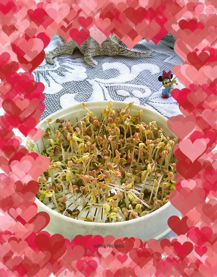 Notes on growing mung bean sprouts