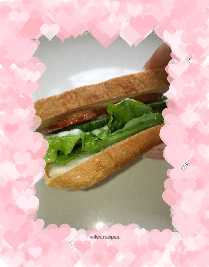 Simple sandwich (first choice for outings)