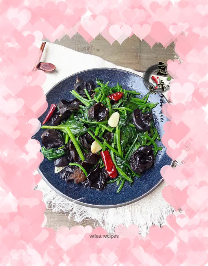 【Southern Fujian】War in Bosnia and Herzegovina