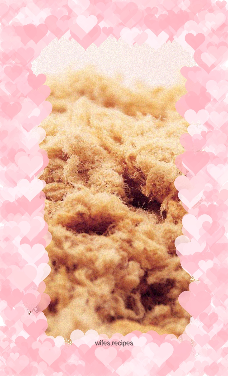 Baby food supplement: meat floss
