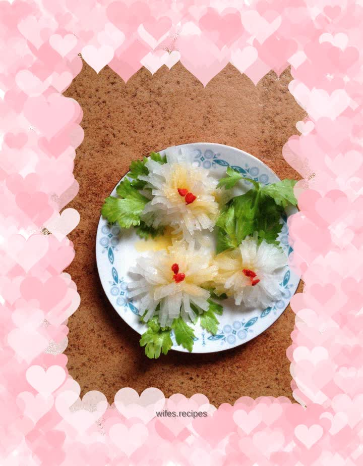 White chrysanthemums bloom